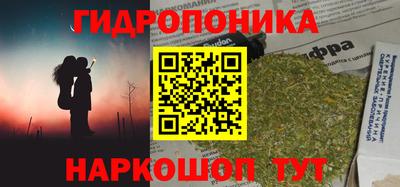 прущие грибы Донецк