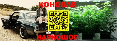 прущие грибы Донецк