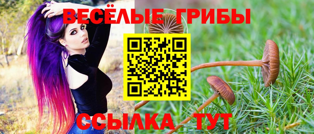 Мариинск  Галлюциногенные грибы мухоморы  Псилоцибиновые грибы MAGIC MUSHROOMS  Вход с VPN 